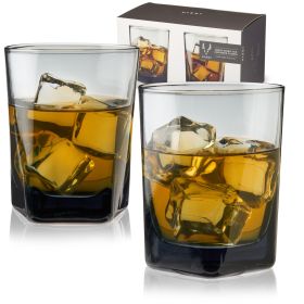 Warren Smoke Double Old Fashioned Glasses Viski (Set of 2)